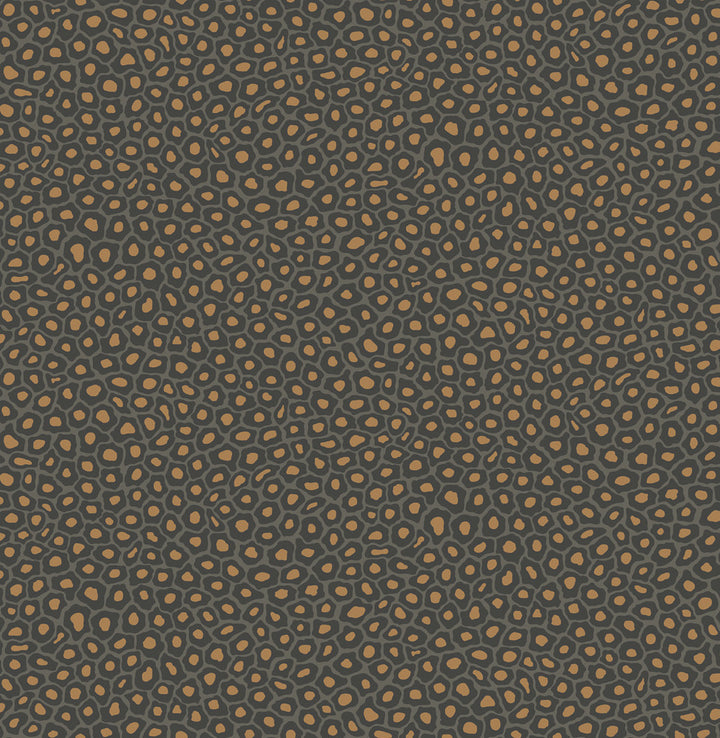Senzo Spot Charcoal by Cole & Son Wallcovering