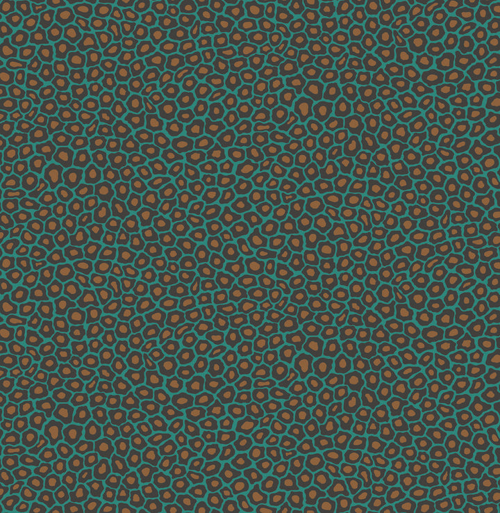 Senzo Spot Petrol by Cole & Son Wallcovering