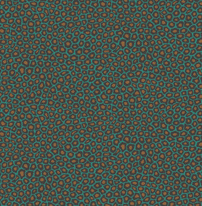Senzo Spot Petrol by Cole & Son Wallcovering