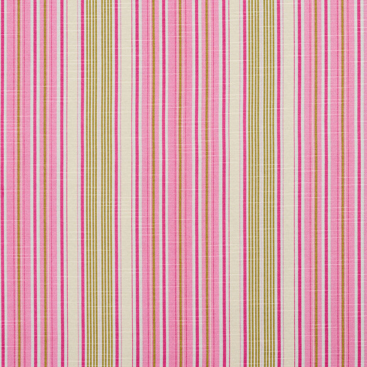 10900-01 by Charlotte Fabric Botanical Prints 60% Cotton, 40% Polyester Spain Exceeds 80,000 Wyzenbeek Rubs (Heavy Duty) Horizontal: 9.5" 54 Inches - Fabric Carolina -