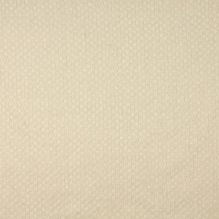 1091 Champagne by Charlotte Fabric Naturally Naturals II 88% Olefin, 12% Polyester Made In USA Exceeds 60,000 Wyzenbeek Rubs (Heavy Duty) Horizontal: 1" x Vertical: 1" 54 Inches - Fabric Carolina -