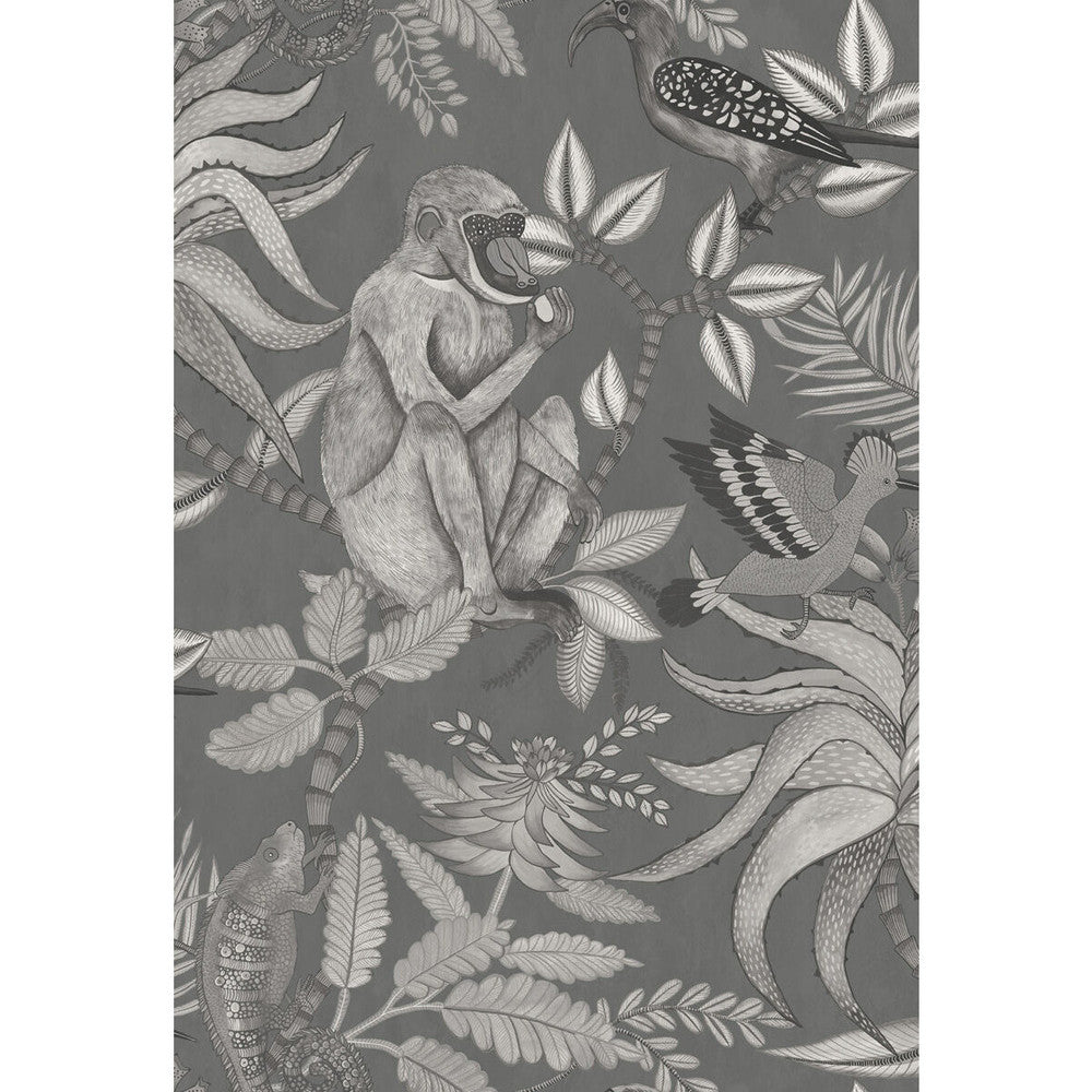 Savuti Charcoal by Cole & Son Wallcovering COLE & SON ARDMORE PAPER - 100% United Kingdom - Horizontal: 20.5 and Vertical: 30 20.5 - Fabric Carolina -