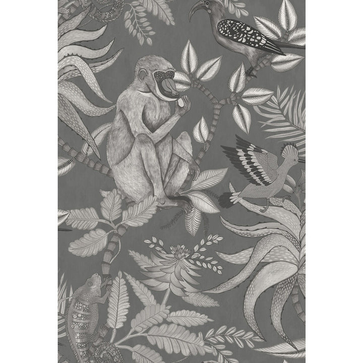 Savuti Charcoal by Cole & Son Wallcovering Cole & Son Wallcovering Savuti CharcoalWallcovering COLE & SON ARDMORE PAPER - 100% United Kingdom </p><p>Repeat: H: 20.5, V: 30 20.5 - Fabric Carolina -