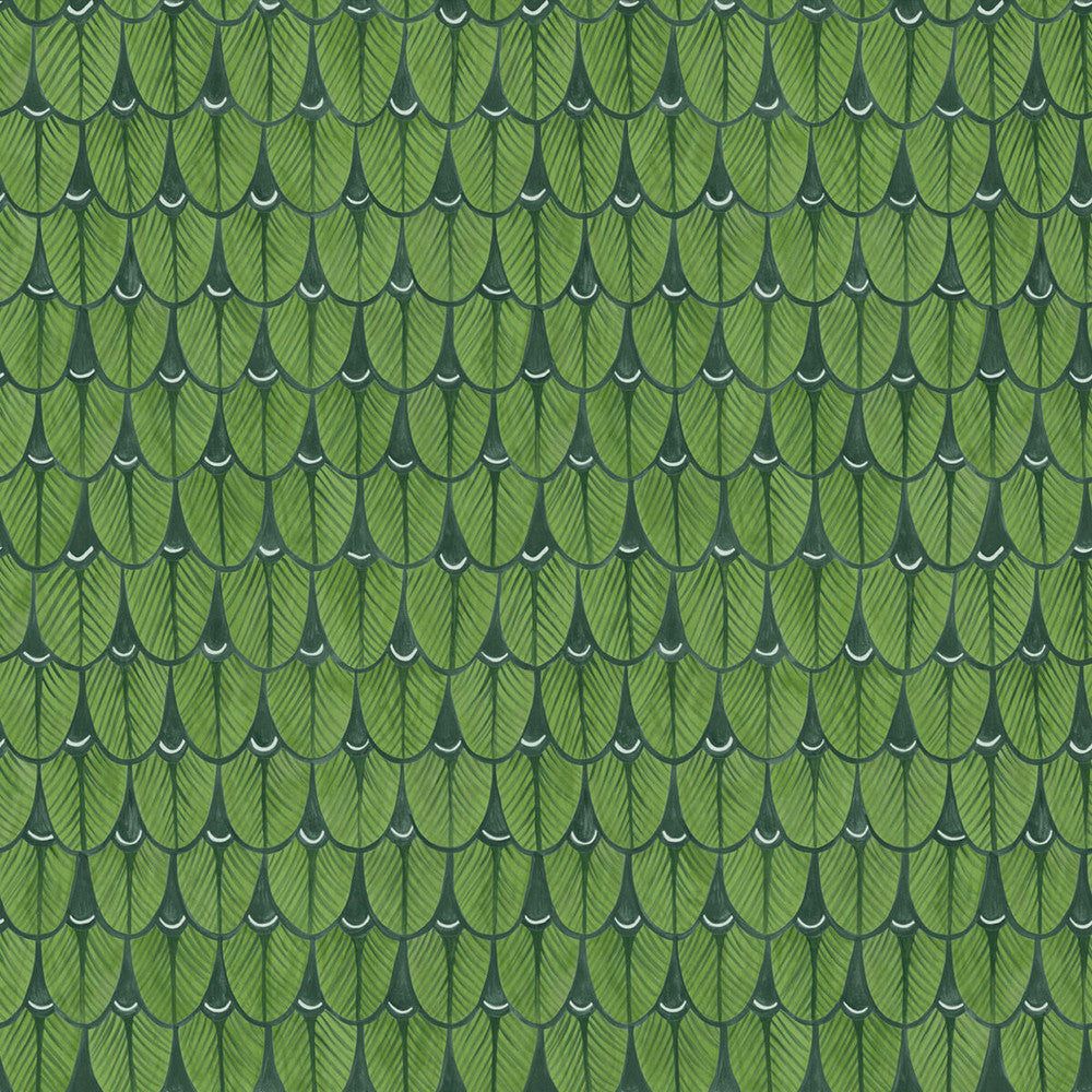 Narina Leaf Green by Cole & Son Wallcovering COLE & SON ARDMORE PAPER - 100% United Kingdom - Horizontal: - and Vertical: 20.5 20.5 - Fabric Carolina -