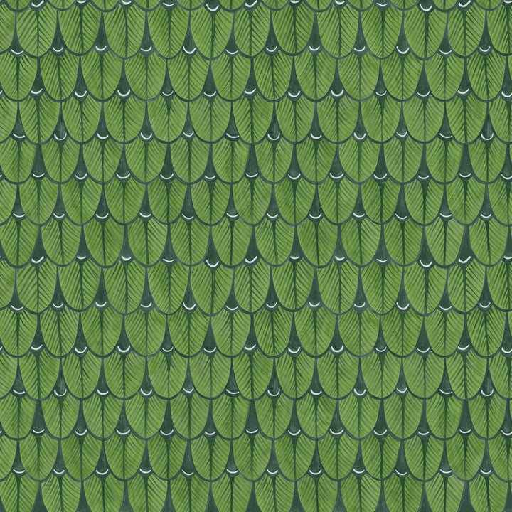 Narina Leaf Green by Cole & Son Wallcovering COLE & SON ARDMORE PAPER - 100% United Kingdom - Horizontal: - and Vertical: 20.5 20.5 - Fabric Carolina -