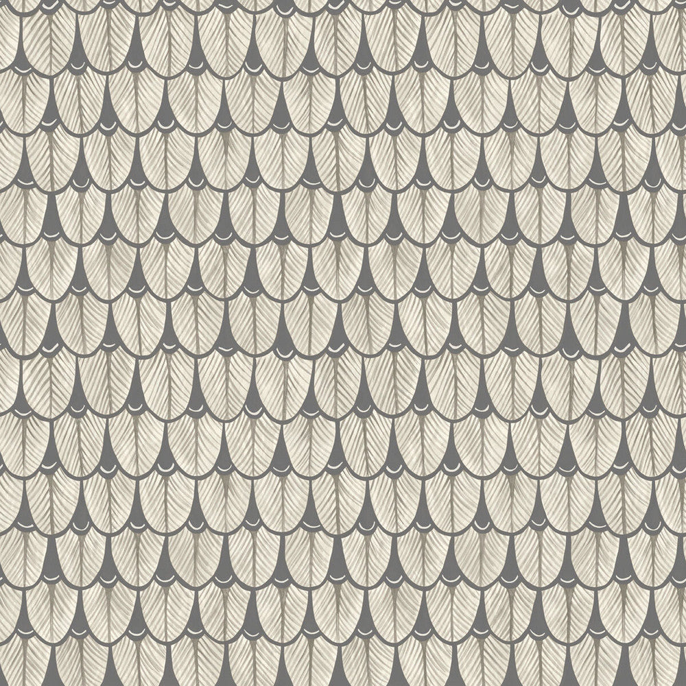 Narina Black & White by Cole & Son Wallcovering COLE & SON ARDMORE PAPER - 100% United Kingdom - Horizontal: - and Vertical: 20.5 20.5 - Fabric Carolina -