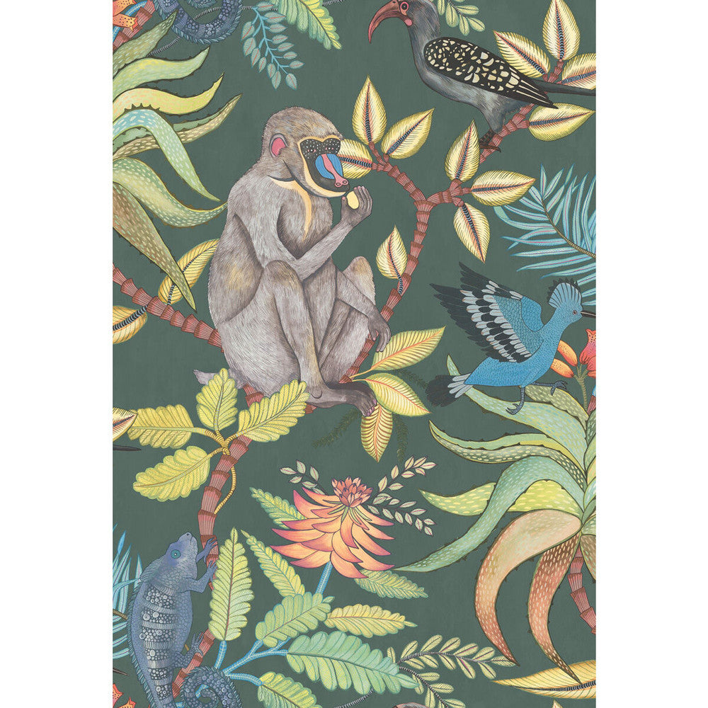 Savuti Dark Petrol Multi by Cole & Son Wallcovering COLE & SON ARDMORE PAPER - 100% United Kingdom Horizontal: 20.5 and Vertical: 30 20.5 - Fabric Carolina -