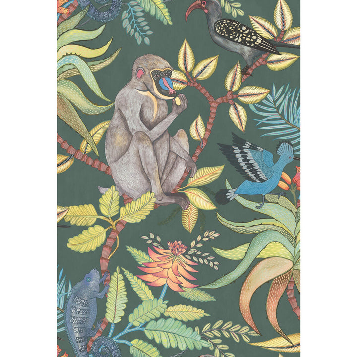 Savuti Dark Petrol Multi by Cole & Son Wallcovering COLE & SON ARDMORE PAPER - 100% United Kingdom Horizontal: 20.5 and Vertical: 30 20.5 - Fabric Carolina -