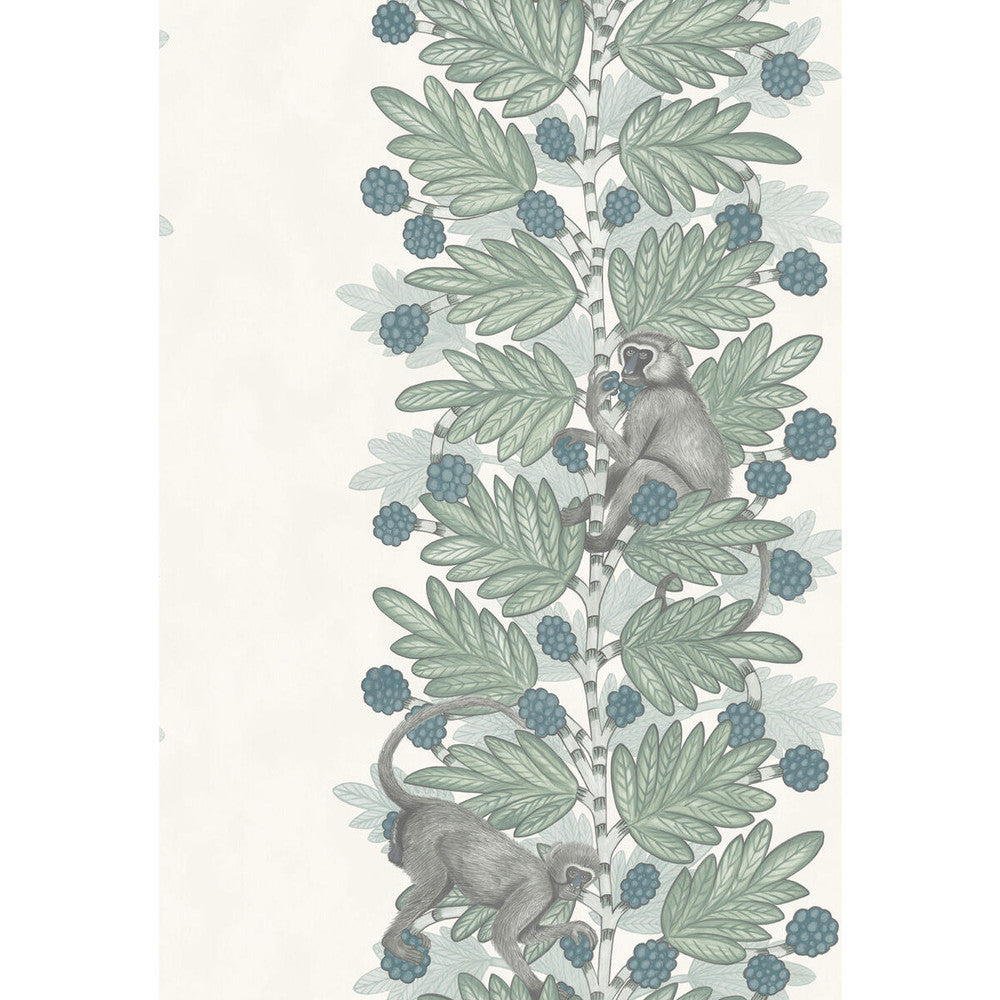 Acacia Blue & Green by Cole & Son Wallcovering Cole & Son Wallcovering Acacia Blue & GreenWallcovering COLE & SON ARDMORE PAPER - 100% United Kingdom </p><p>Repeat: H: , V: 30 20.5 - Fabric Carolina -