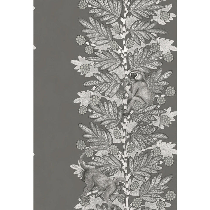 Acacia Charcoal & Silver by Cole & Son Wallcovering Cole & Son Wallcovering Acacia Charcoal & SilverWallcovering COLE & SON ARDMORE PAPER - 100% United Kingdom </p><p>Repeat: H: , V: 30 20.5 - Fabric Carolina -