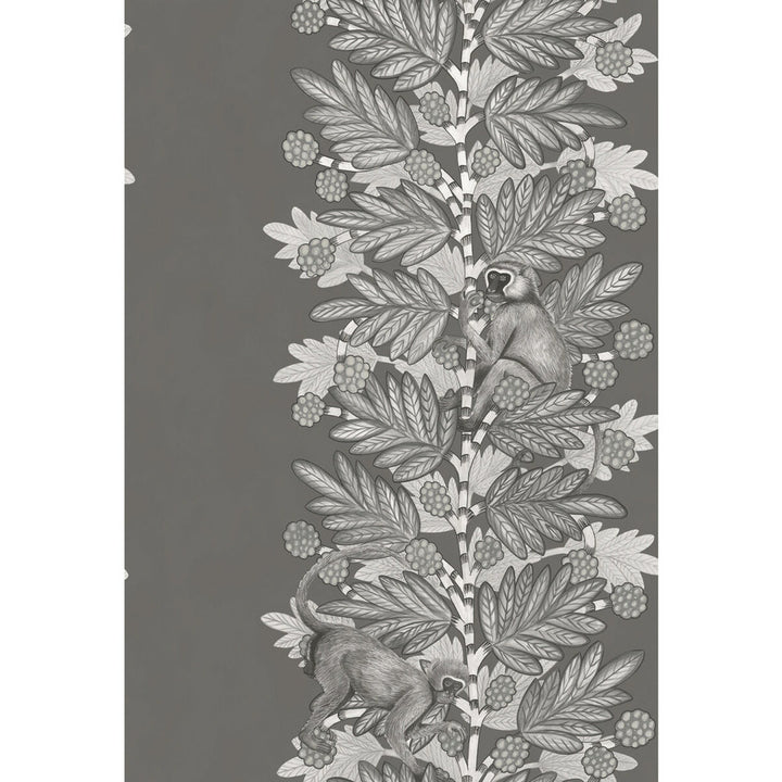 Acacia Charcoal & Silver by Cole & Son Wallcovering COLE & SON ARDMORE PAPER - 100% United Kingdom - Horizontal: - and Vertical: 30 20.5 - Fabric Carolina -