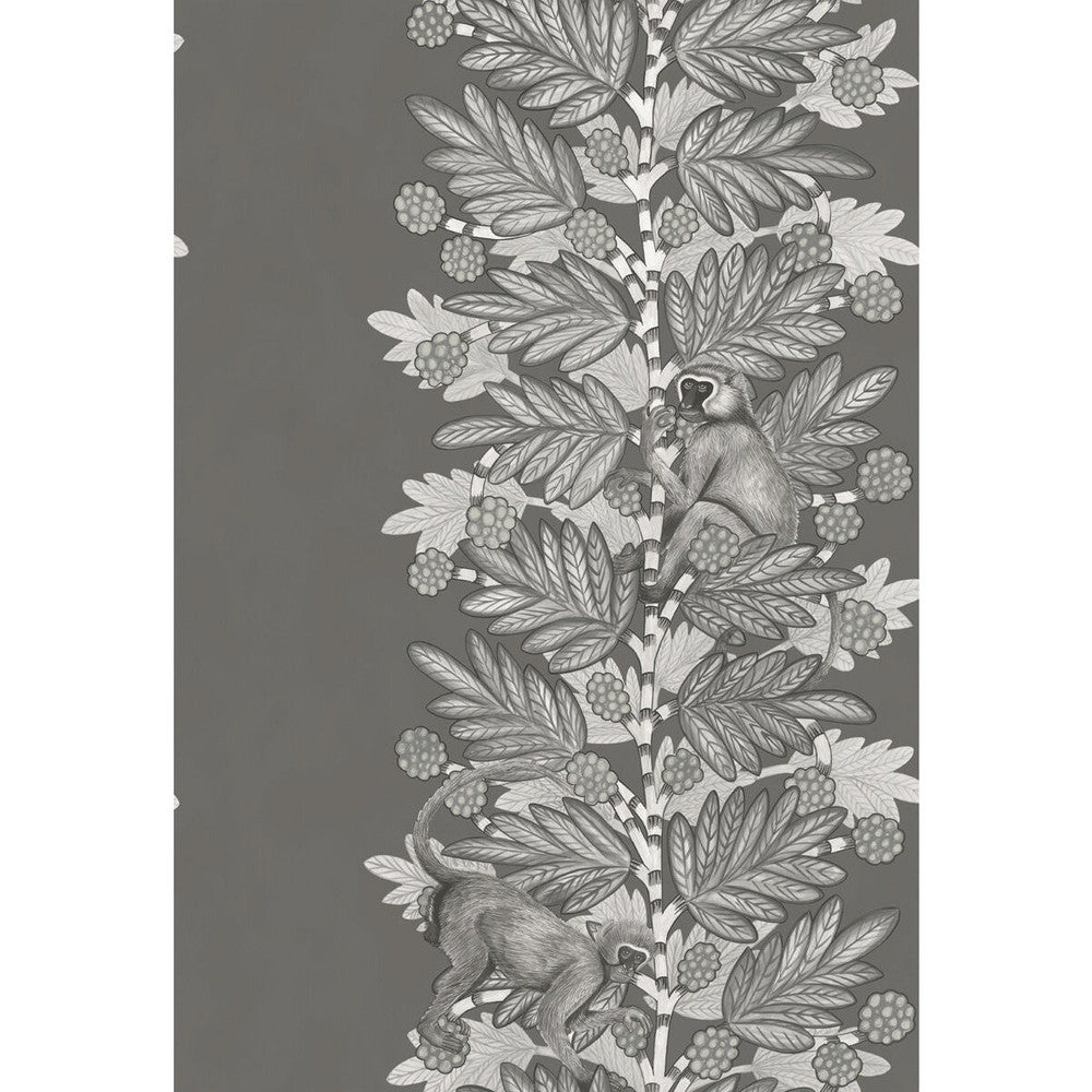 Acacia Charcoal & Silver by Cole & Son Wallcovering COLE & SON ARDMORE PAPER - 100% United Kingdom - Horizontal: - and Vertical: 30 20.5 - Fabric Carolina -