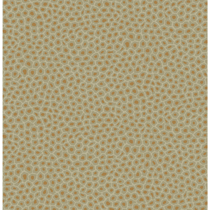 Senzo Spot Olive by Cole & Son Wallcovering COLE & SON ARDMORE PAPER - 100% United Kingdom - Horizontal: - and Vertical: 10.4 20.5 - Fabric Carolina -