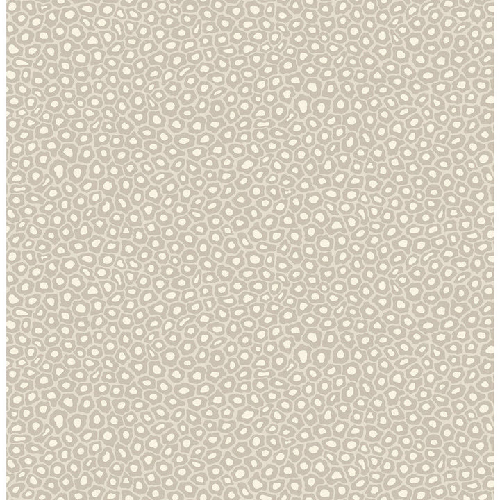Senzo Spot Stone & White by Cole & Son Designer Wallcovering COLE & SON ARDMORE PAPER - 100% United Kingdom - Horizontal: - and Vertical: 10.4 20.5 - Swanky Fabrics -