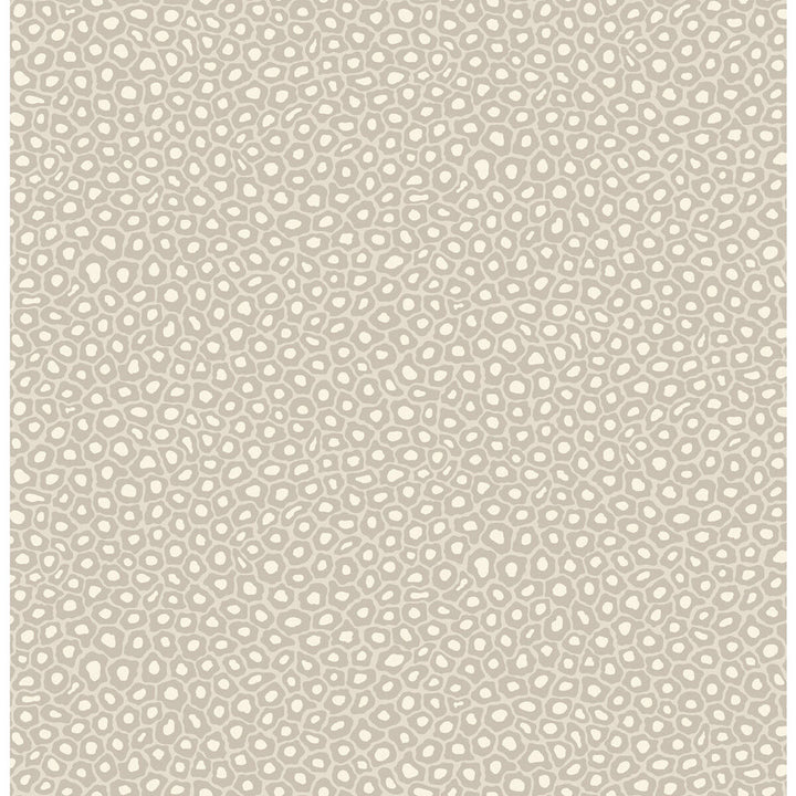 Senzo Spot Stone & White by Cole & Son Wallcovering COLE & SON ARDMORE PAPER - 100% United Kingdom Horizontal: and Vertical: 10.4 20.5 - Fabric Carolina -