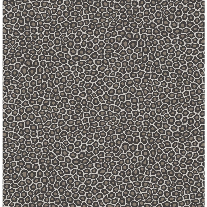 Senzo Spot Black & White by Cole & Son Wallcovering Cole & Son Wallcovering Senzo Spot Black & WhiteWallcovering COLE & SON ARDMORE PAPER - 100% United Kingdom </p><p>Repeat: H: , V: 10.4 20.5 - Fabric Carolina -