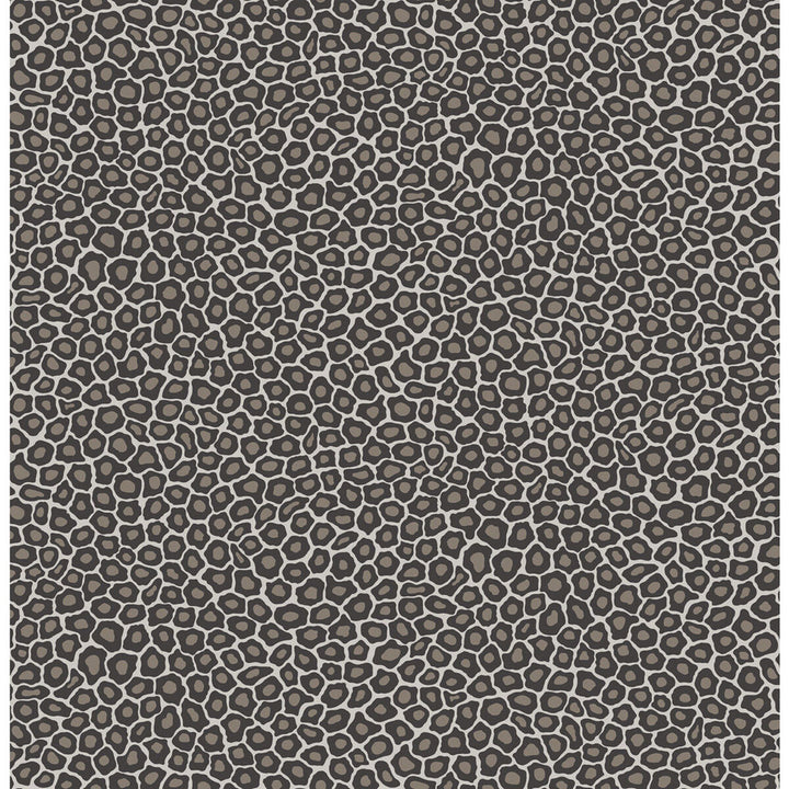 Senzo Spot Black & White by Cole & Son Wallcovering COLE & SON ARDMORE PAPER - 100% United Kingdom - Horizontal: - and Vertical: 10.4 20.5 - Fabric Carolina -
