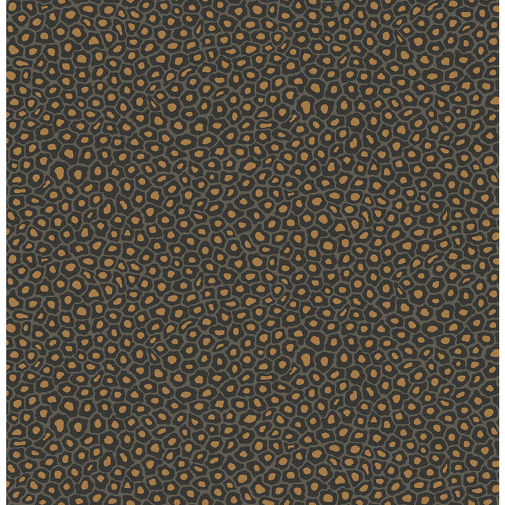 Senzo Spot Charcoal by Cole & Son Wallcovering COLE & SON ARDMORE PAPER - 100% United Kingdom Horizontal: and Vertical: 10.4 20.5 - Fabric Carolina -