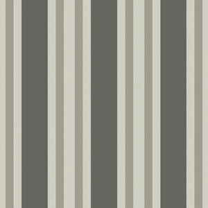 Polo Stripe Black/White by Cole & Son Wallcovering