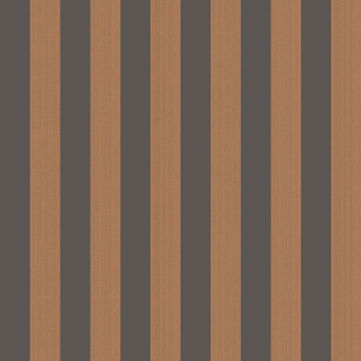 Regatta Stripe Tan + Black by Cole & Son Wallcovering