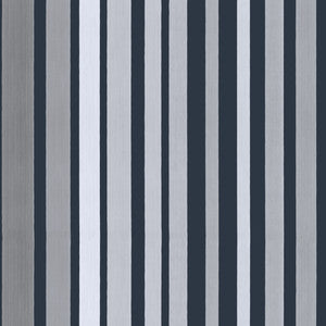 Carousel Stripe Grey by Cole & Son Wallcovering