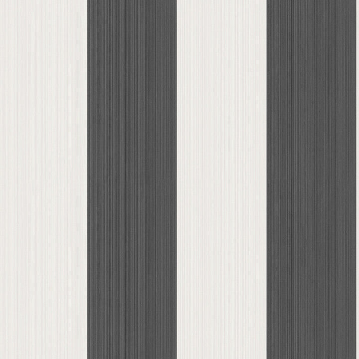 Jaspe Stripe Black + White by Cole & Son Wallcovering Cole & Son Wallcovering Jaspe Stripe Black + WhiteWallcovering COLE & SON MARQUEE STRIPES PAPER - 100% United Kingdom </p><p>Repeat: H: 20.5, V: 0 20.5 - Fabric Carolina -