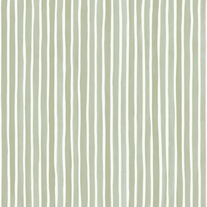 Croquet Stripe Olive by Cole & Son Wallcovering COLE & SON MARQUEE STRIPES PAPER - 100% United Kingdom Horizontal: 20.5 and Vertical: 0 20.5 - Fabric Carolina -
