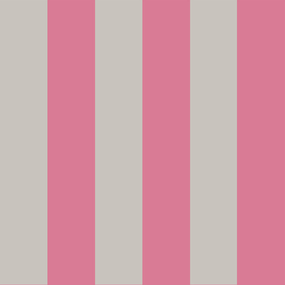 Glastonbury Str Pink+Linen by Cole & Son Wallcovering COLE & SON MARQUEE STRIPES PAPER - 100% United Kingdom - Horizontal: 21 and Vertical: 0 21 - Fabric Carolina -