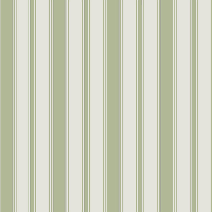 Cambridge Stripe Leaf Green by Cole & Son Wallcovering COLE & SON MARQUEE STRIPES PAPER - 100% United Kingdom Horizontal: 21 and Vertical: 21 - Fabric Carolina -