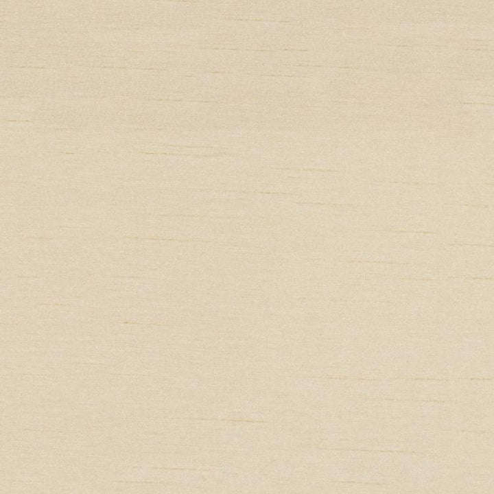 Keepsakes Pebble by RM CoCo Fabric Keepsakes III 100% POLYESTER Horizontal: 0 and Vertical: 0 54 - Fabric Carolina -