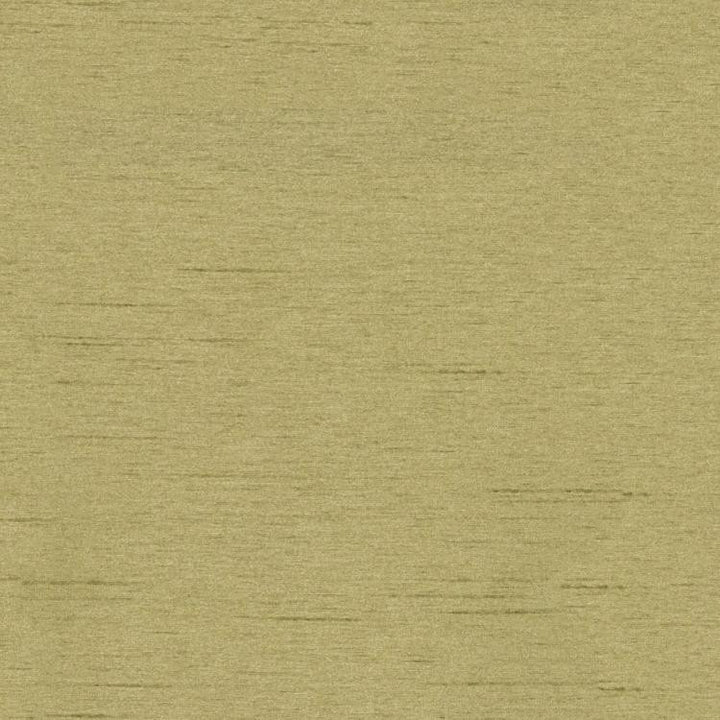 Keepsakes Sage by RM CoCo Fabric Keepsakes III 100% POLYESTER Horizontal: 0 and Vertical: 0 54 - Fabric Carolina -