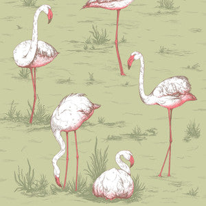 Flamingos Olive by Cole & Son Wallcovering