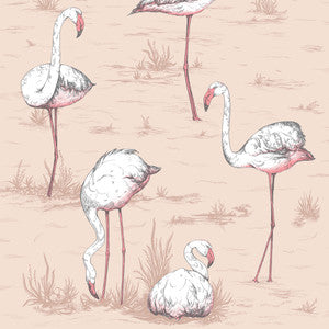 Flamingos Plaster Pink by Cole & Son Wallcovering