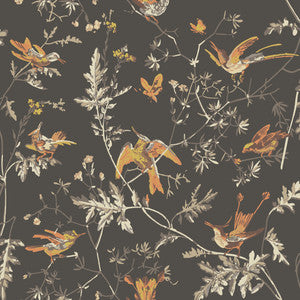 Hummingbirds Charcoal/Ginger by Cole & Son Wallcovering