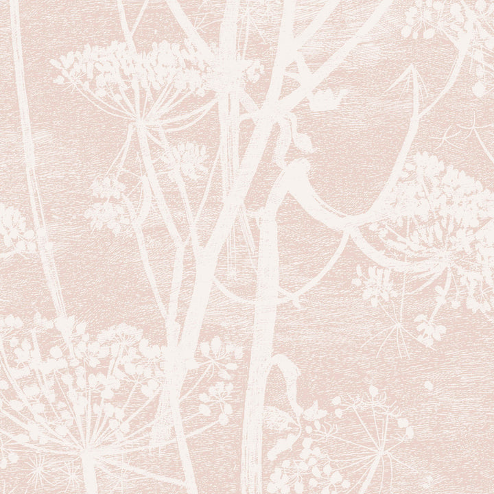 Cow Parsley Plaster Pink by Cole & Son Wallcovering