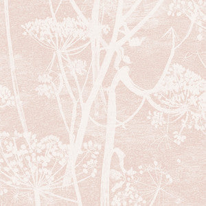 Cow Parsley Plaster Pink by Cole & Son Wallcovering