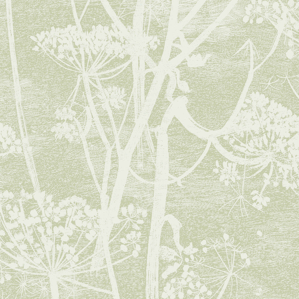 Cow Parsley Olive by Cole & Son Wallcovering