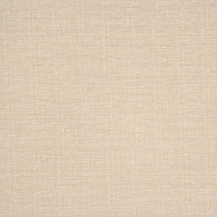 Adaptation Praline by RM CoCo Fabric Time Keeper 58% COTTON 42% POLYESTER 25000 Horizontal: 0 and Vertical: 0 55 - Fabric Carolina -