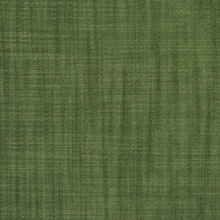 Lewis Moss 334 by P Kaufmann Fabrics Fabric