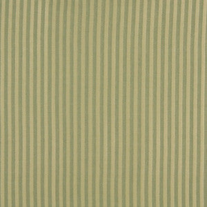 1129 Spring Stripe by Charlotte Fabric
