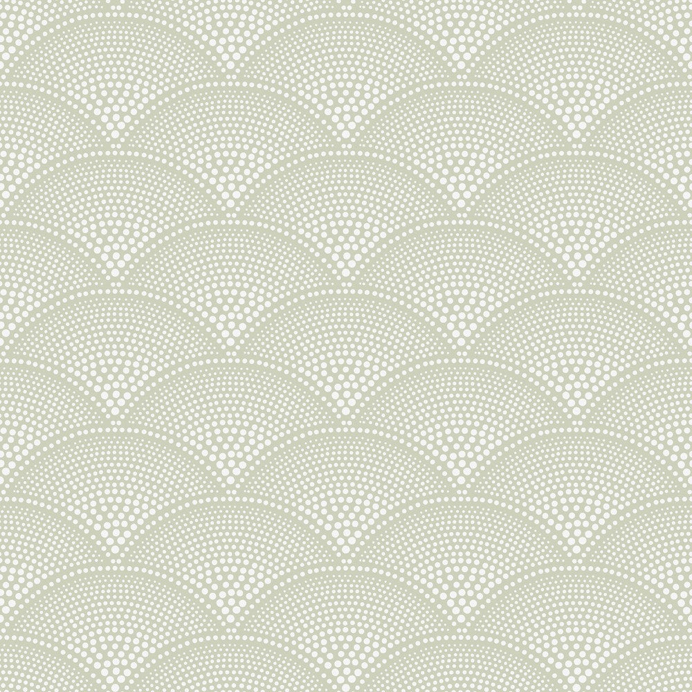Feather Fan Old Olive by Cole & Son Wallcovering Cole & Son Wallcovering Feather Fan Old OliveWallcovering COLE & SON ICONS PAPER - 100% United Kingdom </p><p>Repeat: H: , V: 4.2 21 - Fabric Carolina -