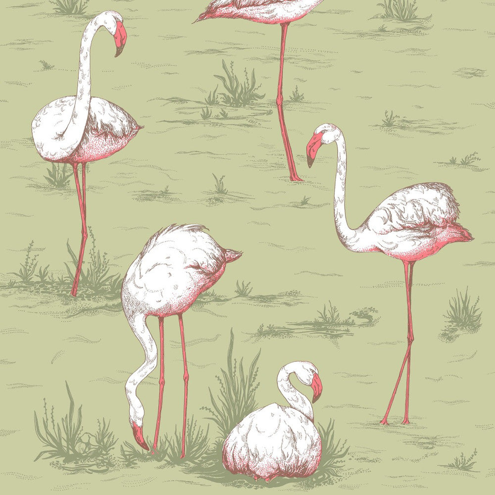 Flamingos Olive by Cole & Son Wallcovering COLE & SON ICONS PAPER - 100% United Kingdom Horizontal: and Vertical: 27.5 21 - Fabric Carolina -