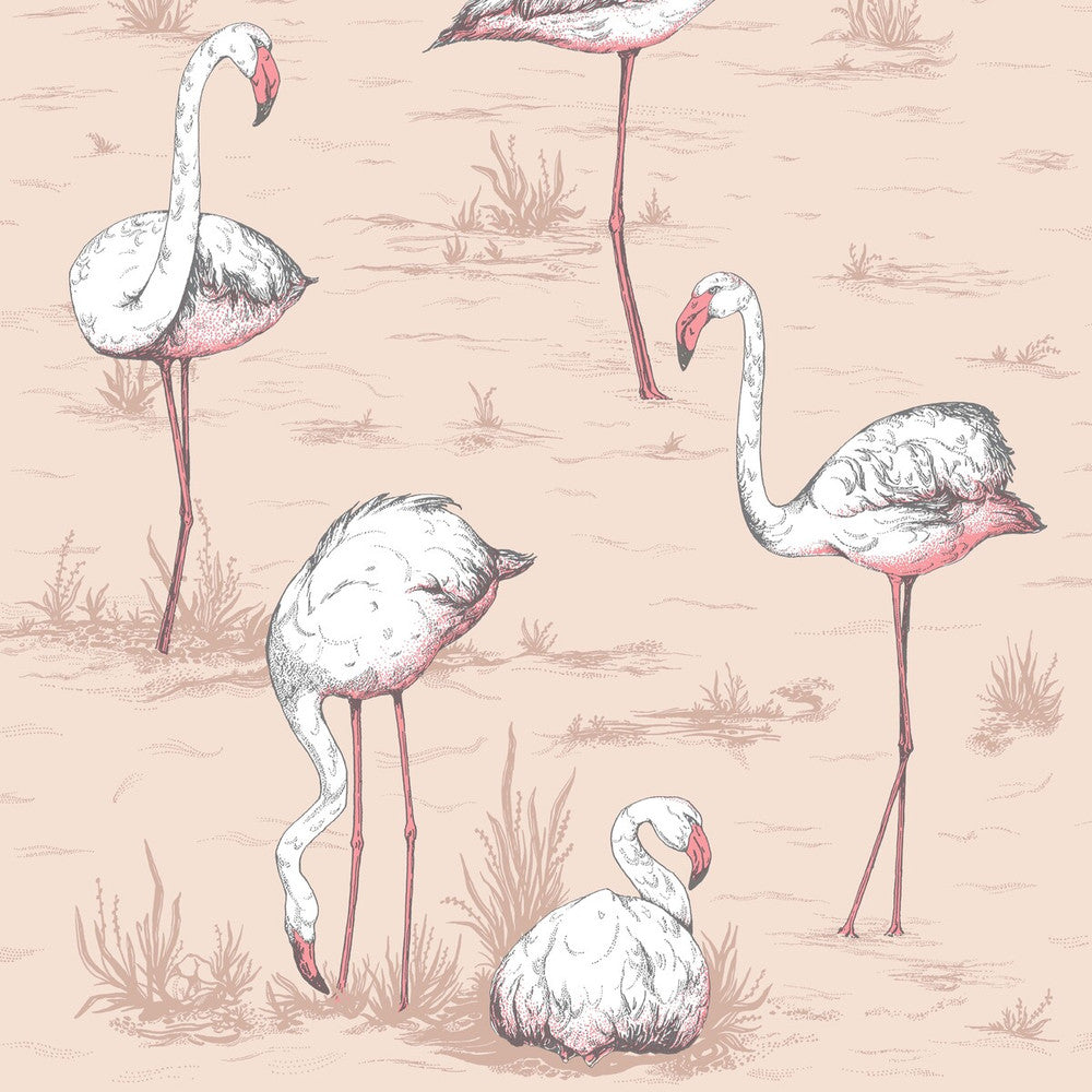 Flamingos Plaster Pink by Cole & Son Wallcovering COLE & SON ICONS PAPER - 100% United Kingdom Horizontal: and Vertical: 27.5 21 - Fabric Carolina -