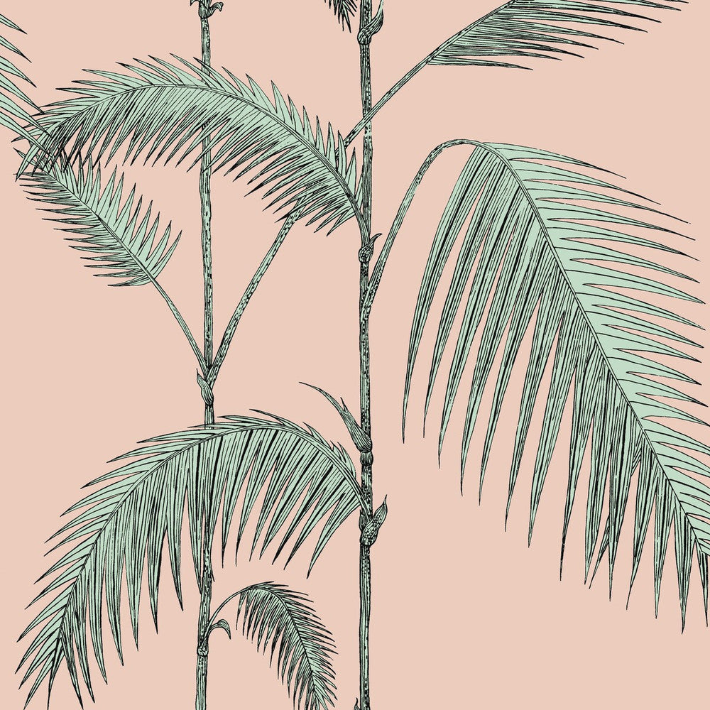 Palm Leaves Plaster Pink/Mint by Cole & Son Wallcovering COLE & SON ICONS PAPER - 100% United Kingdom - Horizontal: - and Vertical: 28.3 20.5 - Fabric Carolina -