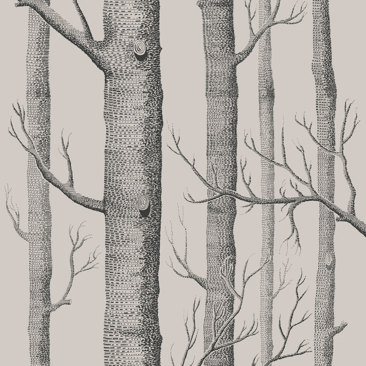 Woods Linen/Charcoal by Cole & Son Wallcovering COLE & SON ICONS PAPER - 100% United Kingdom - Horizontal: - and Vertical: 28.3 20.5 - Fabric Carolina -