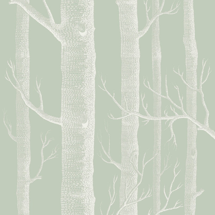 Woods Old Olive by Cole & Son Wallcovering Cole & Son Wallcovering Woods Old OliveWallcovering COLE & SON ICONS PAPER - 100% United Kingdom </p><p>Repeat: H: , V: 28.3 20.5 - Fabric Carolina -