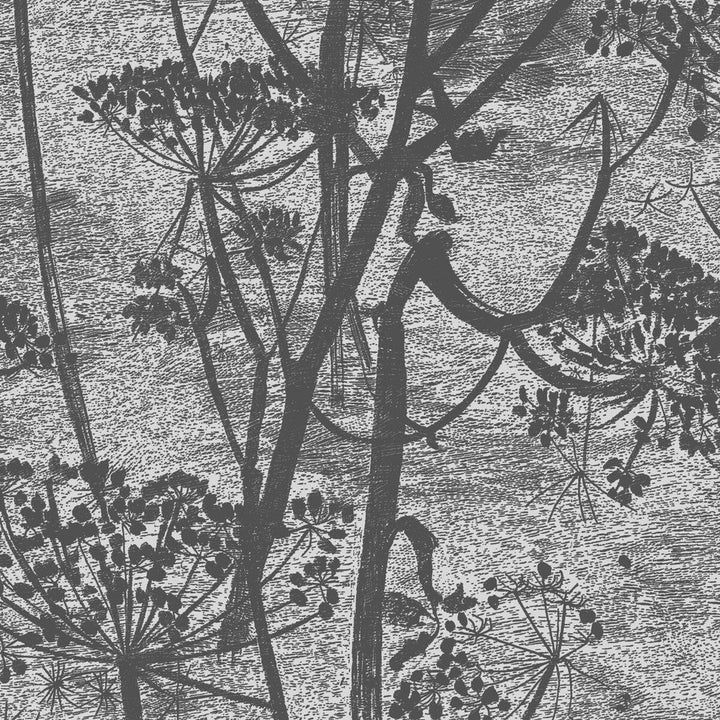 Cow Parsley Charcoal by Cole & Son Designer Wallcovering COLE & SON ICONS PAPER - 100% United Kingdom - Horizontal: - and Vertical: 30 21 - Swanky Fabrics -