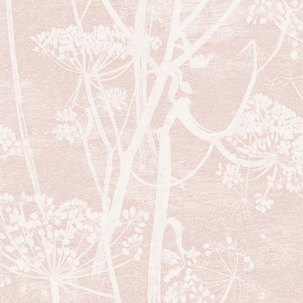 Cow Parsley Plaster Pink by Cole & Son Wallcovering Cole & Son Wallcovering Cow Parsley Plaster PinkWallcovering COLE & SON ICONS PAPER - 100% United Kingdom </p><p>Repeat: H: , V: 30 21 - Fabric Carolina -