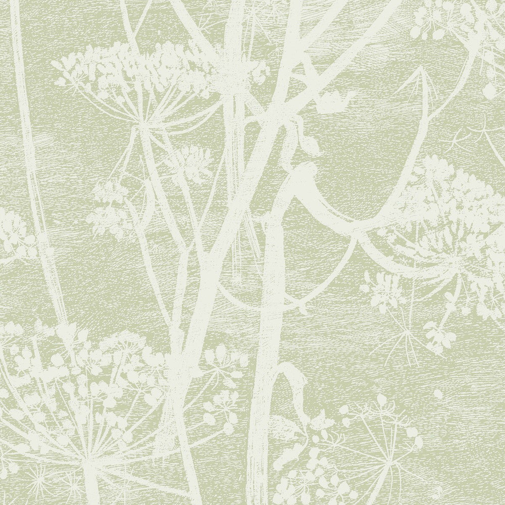 Cow Parsley Olive by Cole & Son Wallcovering COLE & SON ICONS PAPER - 100% United Kingdom - Horizontal: - and Vertical: 30 21 - Fabric Carolina -