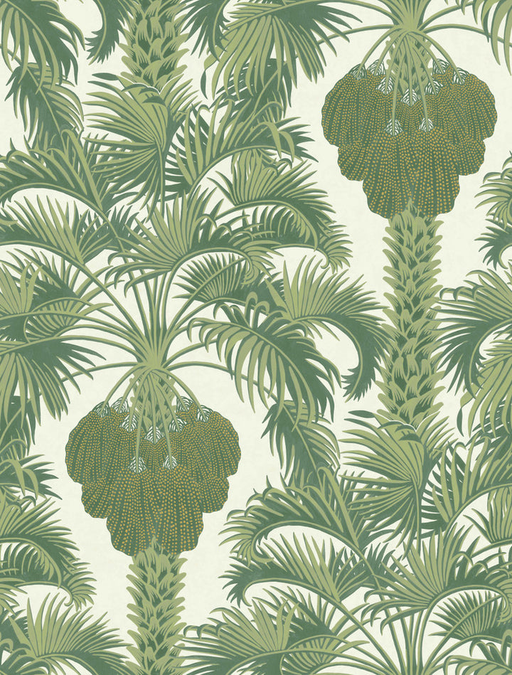 Hollywood Palm Leaf Green by Cole & Son Wallcovering